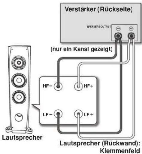 PIONEER S3EXQL - Doppelverdraughtungs-Anschluss - 1