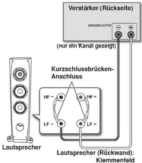 PIONEER S3EXQL - Einzelverdraughtungs-Anschluss - 1