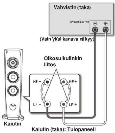 PIONEER S3EXQL - Yksijohtoiset liitannat - 1