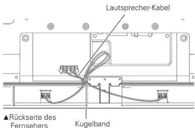 PIONEER PDPS59 - Zusammenbinden der Kabel. - 1
