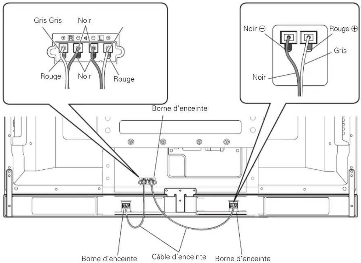 PIONEER PDPS59 - Branchez l'autre extrémité des cables d'enceinte sur l'enceinte. - 1