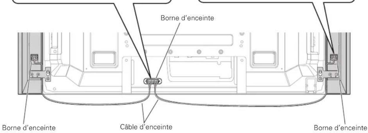 PIONEER PDPS60 - Branchement des cables d'enceinte sur l'enceinte. - 2