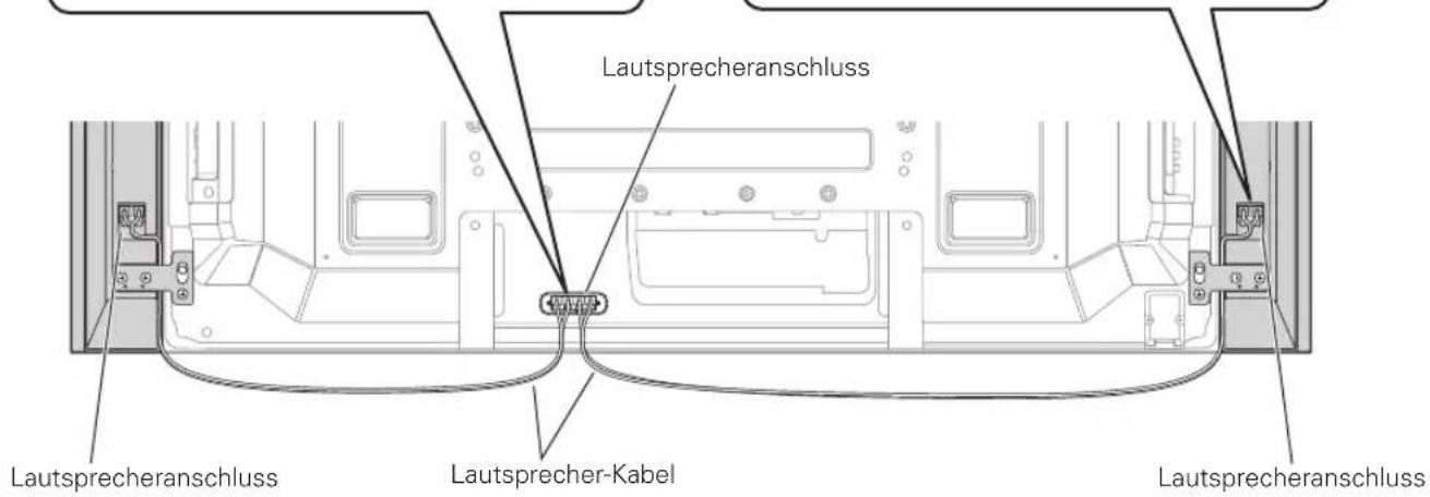 PIONEER PDPS60 - Anschlieben der Laufsprecherkabel am Laufsprecher. - 2