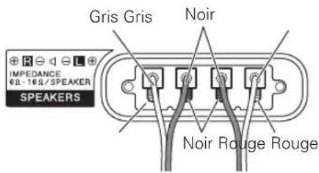 PIONEER PDPS60 - Branchement des cables d'enceinte au dos du téléviseur plasma. - 1