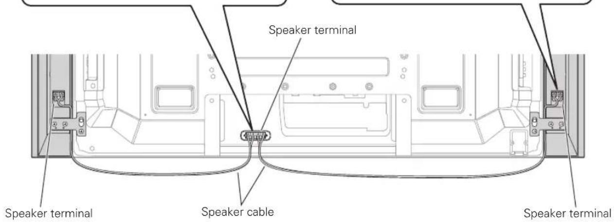 PIONEER PDPS60 - Connecting the speaker cables to the speaker. - 2