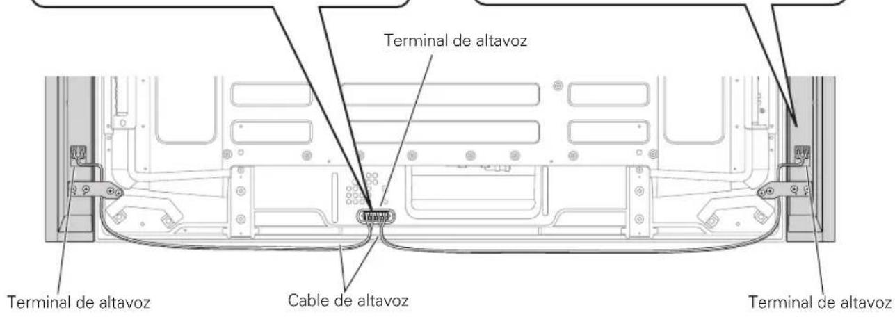 PIONEER PDPS61 - como conectar los cables de altavoz al altavoz. - 2