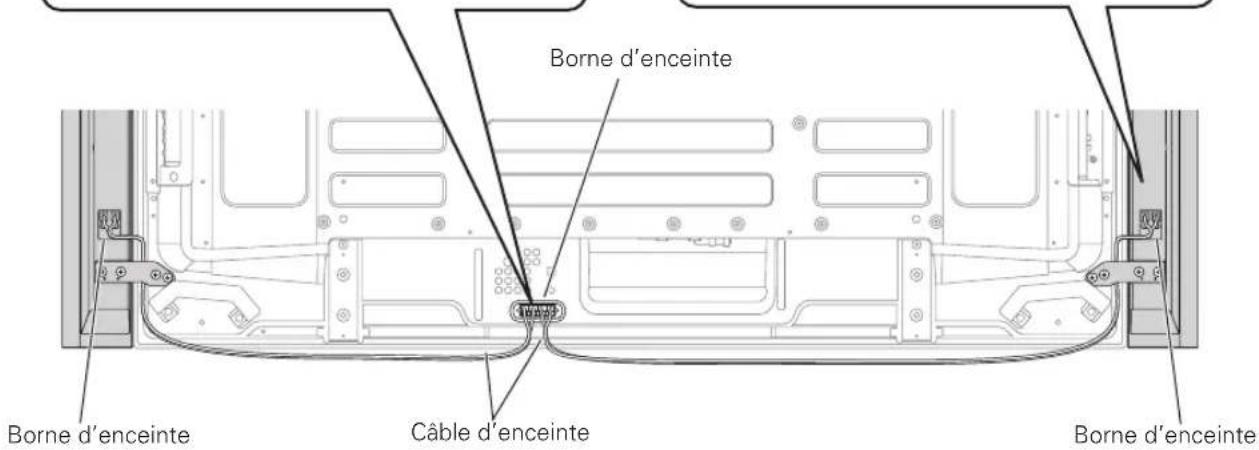 PIONEER PDPS61 - Branchement des cables d'enceinte sur l'enceinte. - 2