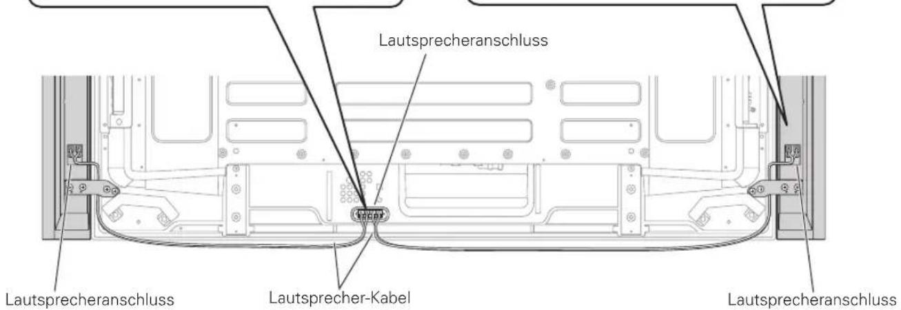 PIONEER PDPS61 - Anschlieben der Laufsprecherkabel am Laufsprecher. - 2