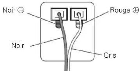 PIONEER PDPS61 - Branchement des cables d'enceinte sur l'enceinte. - 1