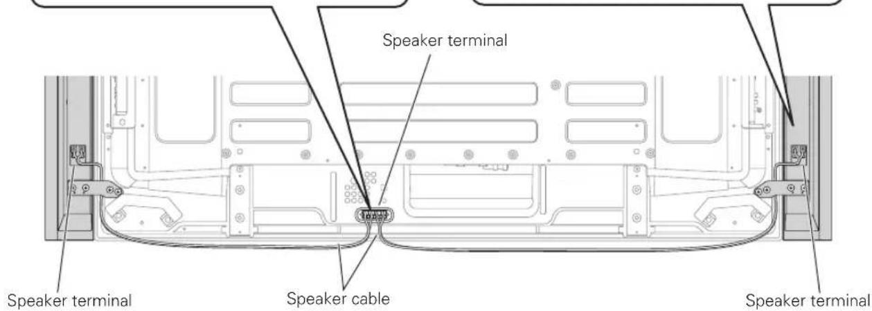 PIONEER PDPS61 - Connecting the speaker cables to the speaker. - 2