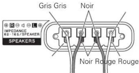 PIONEER PDPS61 - Branchement des cables d'enceinte au dos du téléviseur plasma. - 1
