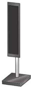PIONEER SLX70LR - Gebruik van de los verkrijgbare standardards - 2