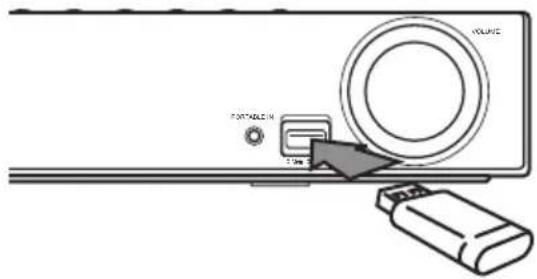 PIONEER BCSFS515 - Reproduccion de contenido en dispositivos USB - 1