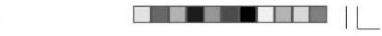 ROADSTAR CLR246 - ACERTAR AS HORAS - 3