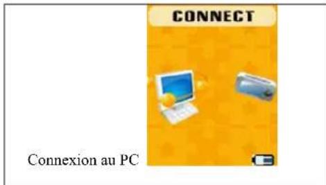 ROADSTAR MP450 - Mémoire externe USB - 1