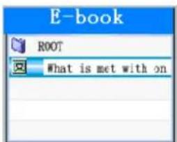 ROADSTAR MP450 - E-book - 1