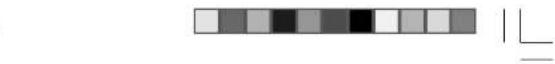 ROADSTAR CLR235 - ESPECIFICACIONESTECNICAS - 4