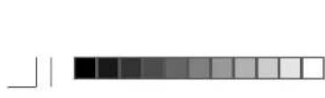 ROADSTAR CLR235 - SPANNUNGSVERSORGUNG - 2