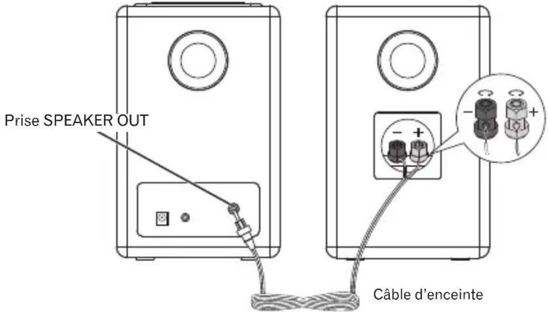 PIONEER XWW BTS5 - Connectez les enceintes gauche et droite - 1