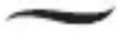 REMINGTON Silk S9600 - \* Temperaturi recomandate:- - 1