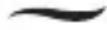 REMINGTON Silk S9600 - \* Temperature raccomandate: - - 1