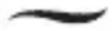 REMINGTON Silk S9600 - ★ Anbefalede temperaturer:- - 1