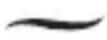 REMINGTON Silk S9600 - INSTRUCTIONS FOR USE - 2