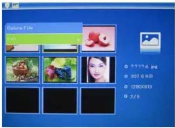 ROLLEI Pictureline 8000 - Copy & Delete function - 2