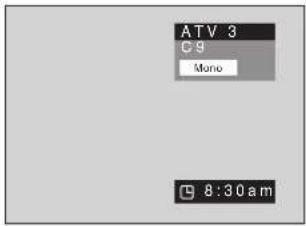 PIONEER PDP42RXE - Displaying Information - 1