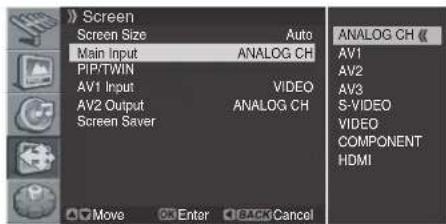 PIONEER PDP42RXE - Viewing the Input Source - 1