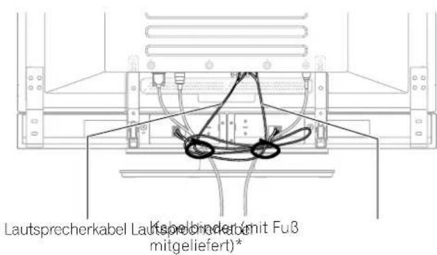 PIONEER PDP435HDE - Anbringen und Abnehmer der Schnellverschlussklemmen - 2
