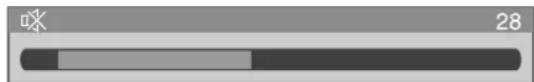 PIONEER PDP435HDE - Changing the volume and sound - 5