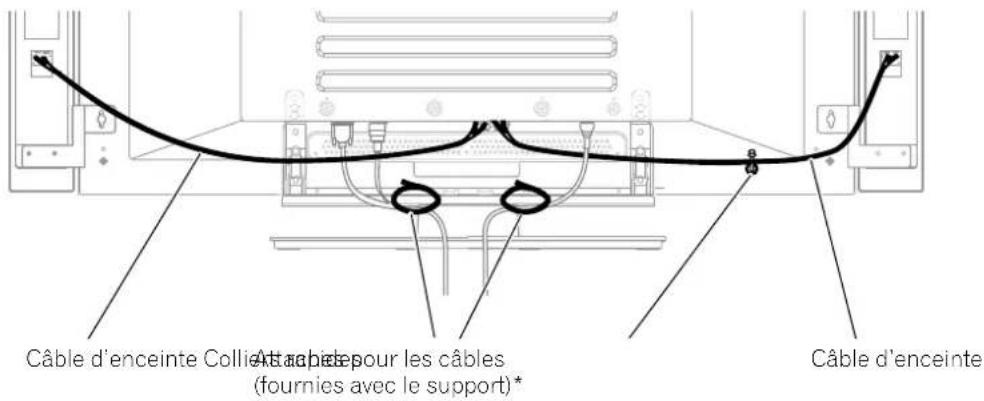 PIONEER PDP435HDE - Cheminement des câbles - 1