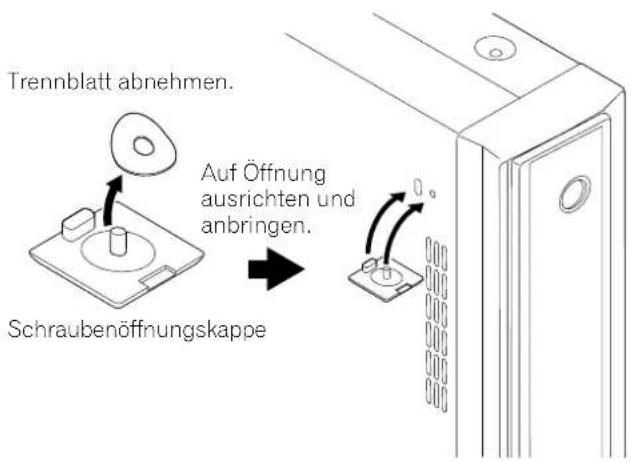 PIONEER PDP435HDE - Verschreiben Sie die Schraubenöffnungen mit den mitgelieferten Kappen. - 1