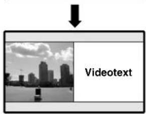 PIONEER PDP435HDE - Was ist Videotext? - 5