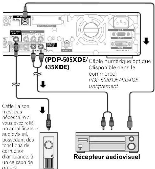 PIONEER PDP435HDE - Raccordement d'un apparéil audio - 1