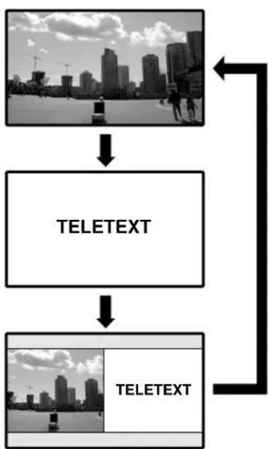 PIONEER PDP435HDE - What is Teletext? - 2