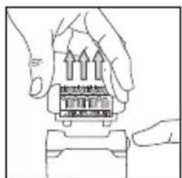 ROWENTA Elite Fresh Extreme EP7202 - 6-PEELING (naar gelang model) - 2