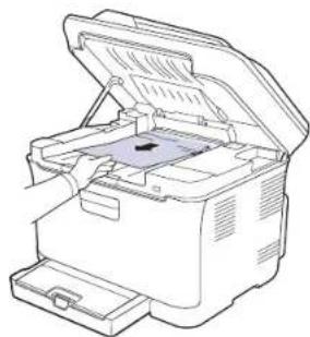 SAMSUNG CLP3175 - Dans la zone de l'unité de fusion - 3