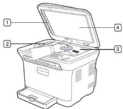 SAMSUNG CLP3175 - Nettoyage du module de numérisation - 1