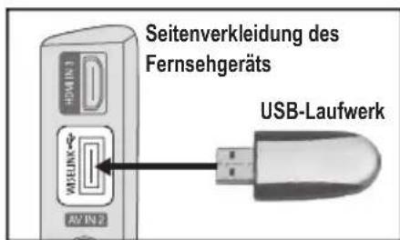 SAMSUNG LE46B550A5WXZG - Verwenden der WISELINK-Funktion - 1