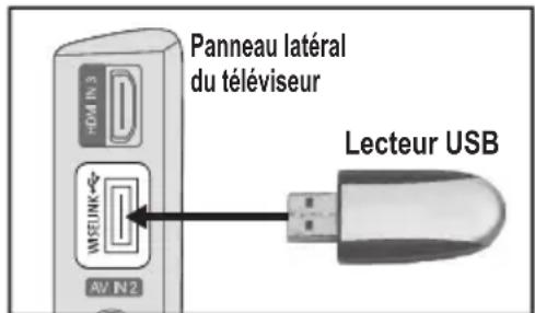 SAMSUNG LE46B550A5WXZG - Utilisation de la fonction wiselink - 1