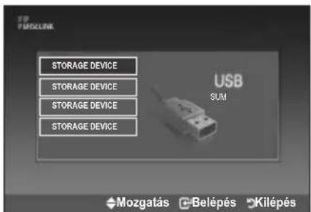 SAMSUNG LE46B550A5WXZG - A WISELINK menu használata - 2
