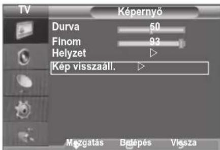 SAMSUNG LE46B550A5WXZG - Kép visszaïll. - 6