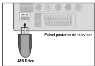 SAMSUNG LE26B450C4WXZG - Actualização do software - 1