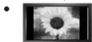 SAMSUNG LE26B450C4WXZG - Precauzioni da adottare quando si visualizza un'immagine fissa - 1