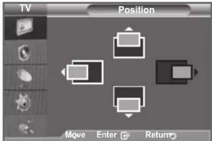 SAMSUNG LE46B550M2HXXU - Position - 2