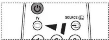SAMSUNG LE46B550M2HXXU - Parte Contenido - 2