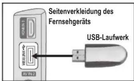 SAMSUNG LE46B550M2HXXU - Verwenden der WISELINK-Funktion - 1