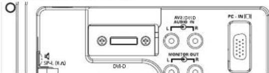 SANYO 42LM5WPTC - DVI-D (Interfaz de Video Digital) - 1